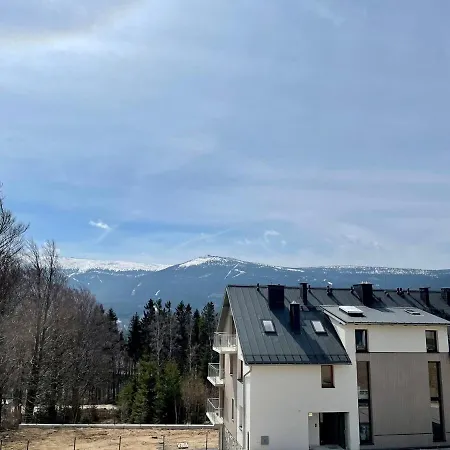 Daj Sobie Spokoj - Widok 800mnpm Ogrodek *